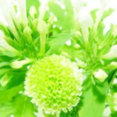 既に女を引退した主婦です。相互フォローします。介護の仕事を不定期でしてます。