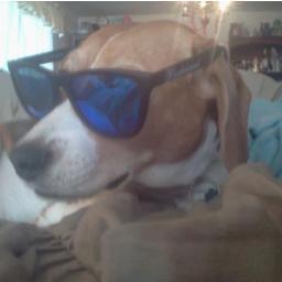 JoeFunkYourself's profile picture. I prefer Instagram cuz I'm a bad spellist. Words I writing bad but pics is fun.  https://t.co/NeCTcPv7x3