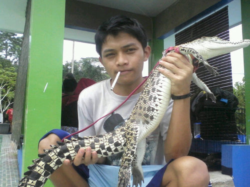 Animal Lover
True Blue (Keep The Blue Flag Flying High)