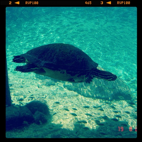 djcrespom's profile picture. 