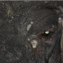 Carl Otto - @CarlOtto7 - Twitter