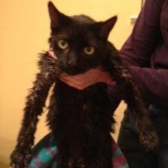 BlessthisMess13's profile picture. 