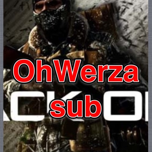 inc_Werza's profile picture. 