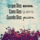 Alida Orellana - @AlidaOrellana - Twitter