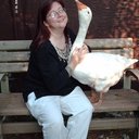 Lorrie Hill - @missg00se - Twitter