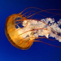 M carmen (@soledst) 's Twitter Profile