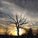 Carmen Fix - @carmen_fix - Twitter