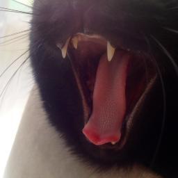 cesario20020331's profile picture. 埼玉在住の浦和レッズサポです。 ワンピース、ヒロアカ、呪術廻戦、鬼滅の刃のフィギュア収集しています。少しだけ、エヴァ、リゼロ、SAO、転スラなども所有。最近はガンプラ作成もしています😄無言フォロー失礼します。気軽に絡んでください。🥹