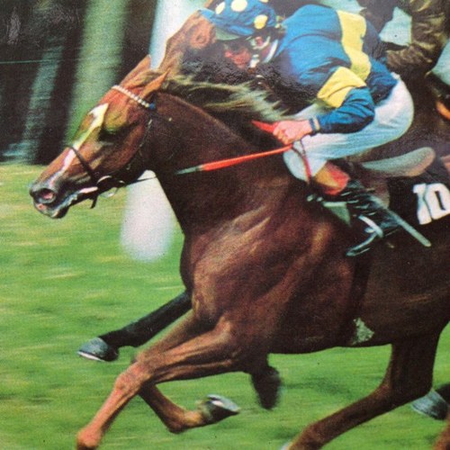 A lifelong admirer of the work of W R Swinburn and a lover of the last race 