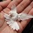 pemudangawi's profile image