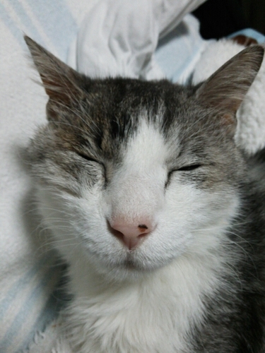 よろしくお願いいたします。m(__)m