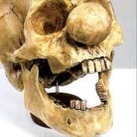 touckhino (@touck2208dicdic) 's Twitter Profile