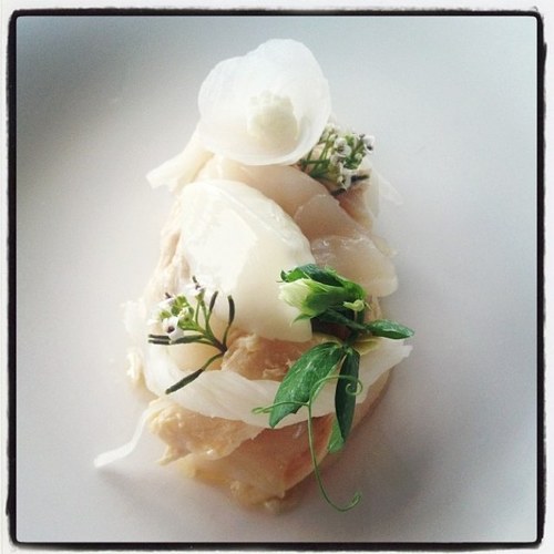 Ks_Hungry's profile picture. Eating my way through the world one bite at a time