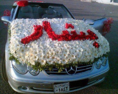 imissyousyria's profile picture. Just another resistence supporter amongst millions.  I tweet about world affairs