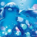 新井 (@1963_1) Twitter