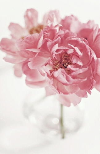 jejeje1241's profile picture. 