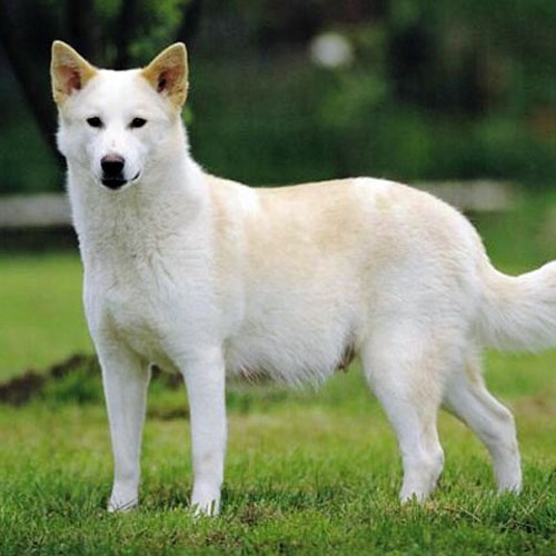 mouhi_m's profile picture. 25