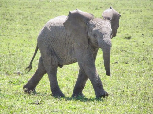 TravelSetsUFree's profile picture. 