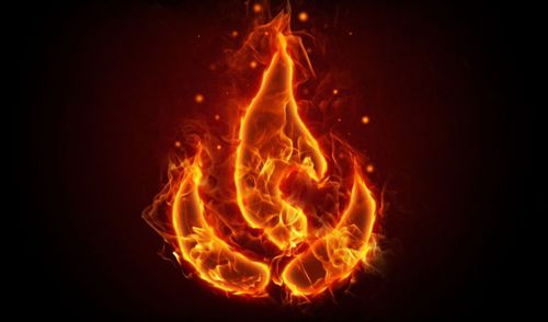 I'm the founder and owner of Fire Incorp. I was a student of St.Bede's Anglo Indian Higher Secondary School. I am a fan of Chennai Super Kings.