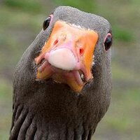 A-Lister (@alisterphoto) 's Twitter Profile