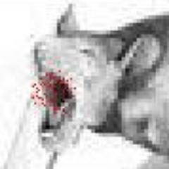 The Rat Revolution. One evil man can splat many complacent rats. One rat can cause a plague that takes down millions of evil men. #Atheist