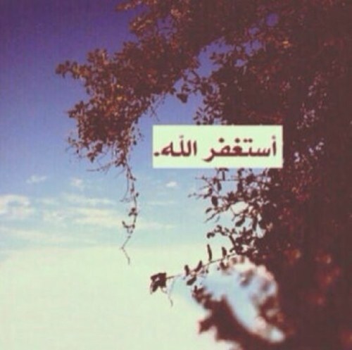 Ad3ya_a4kar8 Profile Picture