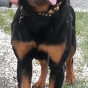 Danny Allan - @dannyallan2010 - Twitter