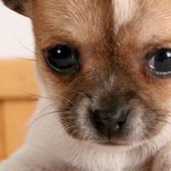 GJzefik's profile picture. 