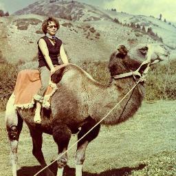 UrveK's profile picture. 