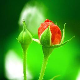 devimon90's profile picture. 