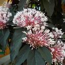 Sandy Hamm - @wintersky2003 - Twitter