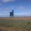 Abel Muñiz - @Beloki76 - Twitter