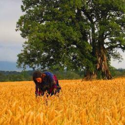 PSalazarRiu's profile picture. 