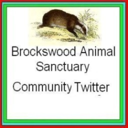 LelahHickman's profile picture. Let me introduce you to my part.~ teamfollowback.