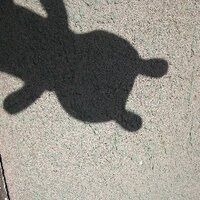 Wernher von Braun (@grantbrowne1) 's Twitter Profile Photo Wernher von Braun (@grantbrowne1) 's Twitter Profile Photo