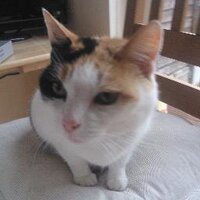 Dermot Crowe (@dermotcrowe1) 's Twitter Profile Photo