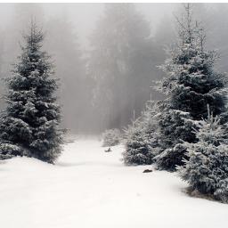 Природа и экология -- вот, что важно сейчас! #ecology #nature #wild