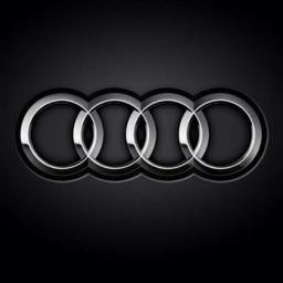 Audi Zentrum Alessandria S.p.A.
P.IVA – C.F. : 01934060060