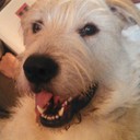 Carla Starks - @carlastarks1 - Twitter