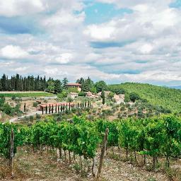 quercetocast's profile picture. Family-run organic winery & agriturismo high on a hilltop in the sweet spot of the Chianti Classico