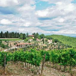 Family-run organic winery & agriturismo high on a hilltop in the sweet spot of the Chianti Classico