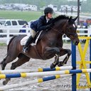 Becca Hunt - @windtrystfarm - Twitter