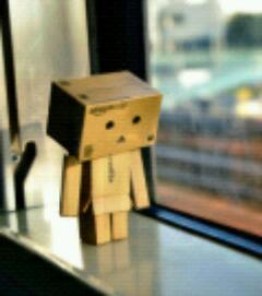 polacco_max's profile picture. 