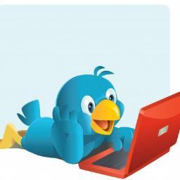 TEAMFOLLOWBACK