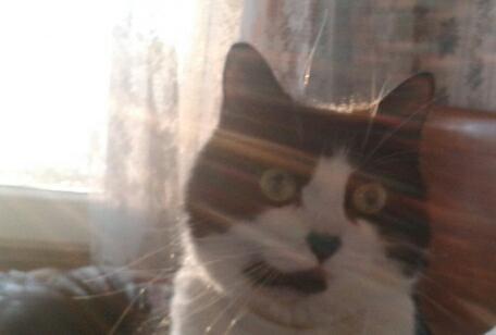 I'm Takeya :3 I'm 15 and I like him :-* #IFollowBack xD