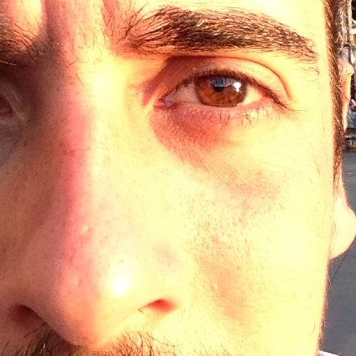 pereiradie2's profile picture. 