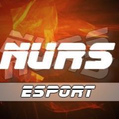 La Nurs est une team decerto depuis plus d'un mois maintenant et espère progresser d'ici un an et ont déjà en tête des projets de LAN !!