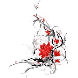 krazycody06's profile picture. 