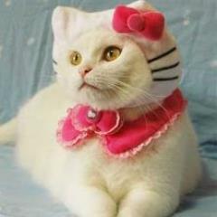 learntolove78's profile picture. 