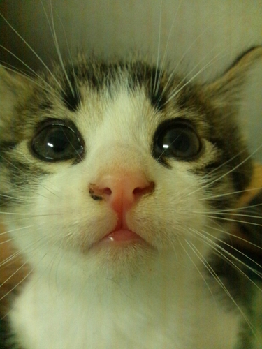 shin7236's profile picture. 